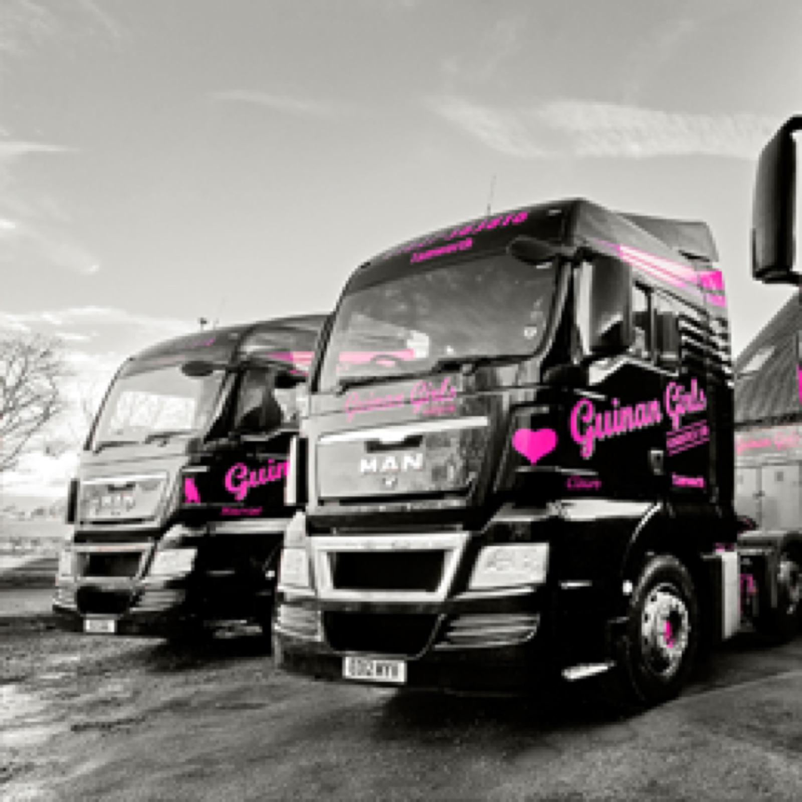 Fleet image
